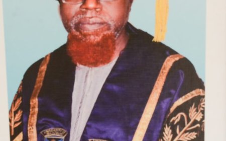 Interview with Dean Faculty of Social science University of Maiduguri